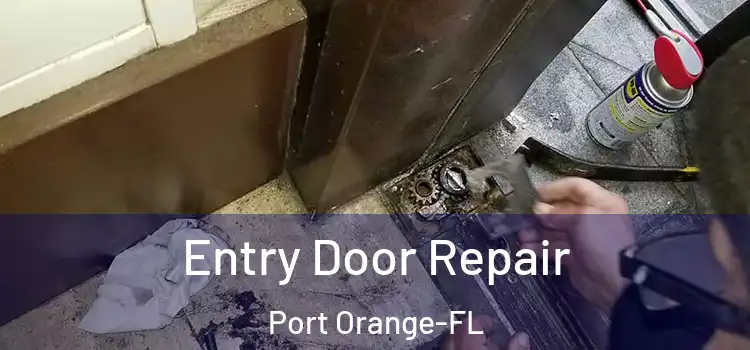  Entry Door Repair Port Orange-FL