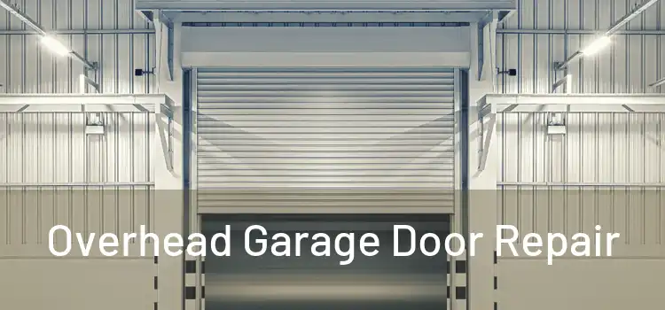  Overhead Garage Door Repair 